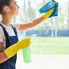 cleaningServices